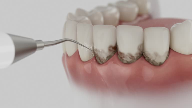 Reliable Dental contractor in Tukwila, WA by Dentist Open Now